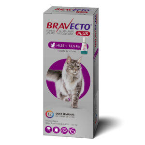 BRAVECTO ANTIPULGAS GATO 6,25 A 12,5 KILOS PLUS